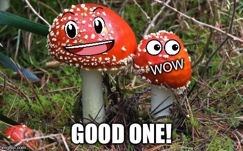 WoW Shroom Upvote | GOOD ONE! | image tagged in wow shroom upvote | made w/ Imgflip meme maker