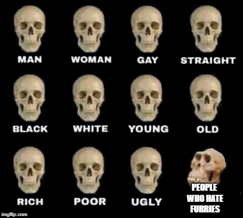 idiot skull | PEOPLE WHO HATE FURRIES | image tagged in idiot skull | made w/ Imgflip meme maker