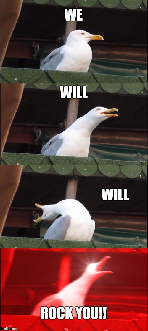 WE WILL WILL ROCK YOU!! | image tagged in memes,inhaling seagull | made w/ Imgflip meme maker