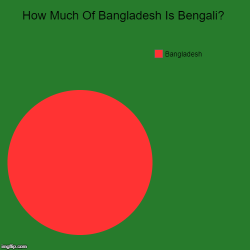 How Much Of Bangladesh Is Bengali? | Bangladesh | image tagged in funny,pie charts | made w/ Imgflip chart maker