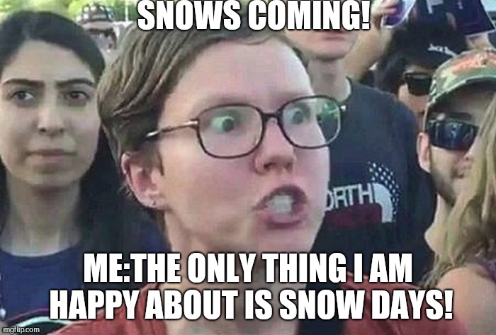 Triggered Liberal | SNOWS COMING! ME:THE ONLY THING I AM HAPPY ABOUT IS SNOW DAYS! | image tagged in triggered liberal | made w/ Imgflip meme maker