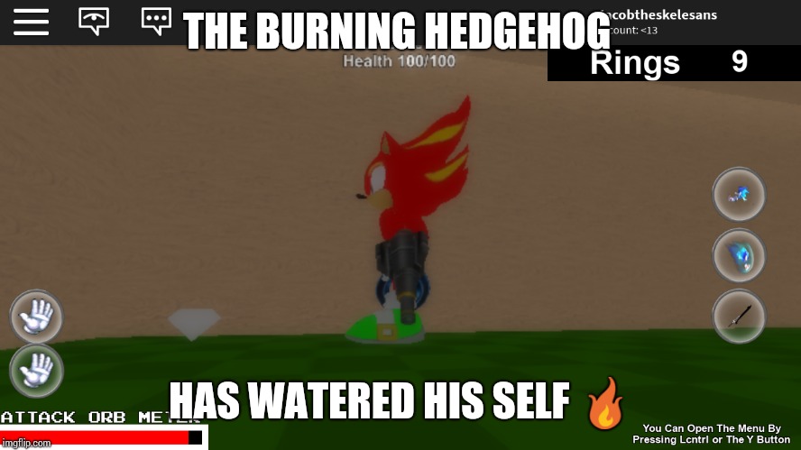 The Stupid Burning Hedgehog | THE BURNING HEDGEHOG; HAS WATERED HIS SELF 🔥 | image tagged in sonic the hedgehog | made w/ Imgflip meme maker