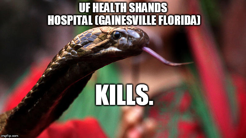 UF Health Shands Hospital (Gainesville Florida) Kills. | UF HEALTH SHANDS HOSPITAL (GAINESVILLE FLORIDA); KILLS. | image tagged in hospitals mafia organizedcrime whatelsaretheyhiding killers murderers freemasons | made w/ Imgflip meme maker