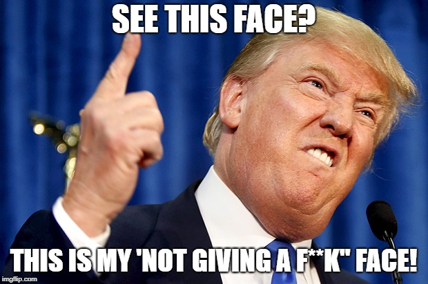 Donald Trump | SEE THIS FACE? THIS IS MY 'NOT GIVING A F**K" FACE! | image tagged in donald trump | made w/ Imgflip meme maker