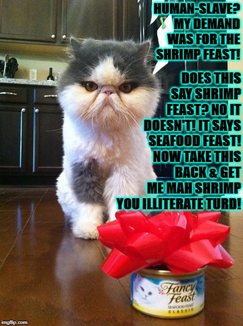 DOES THIS SAY SHRIMP FEAST? NO IT DOESN'T! IT SAYS SEAFOOD FEAST! NOW TAKE THIS BACK & GET ME MAH SHRIMP YOU ILLITERATE TURD! HUMAN-SLAVE? MY DEMAND WAS FOR THE SHRIMP FEAST! | image tagged in angry spoiled persian | made w/ Imgflip meme maker
