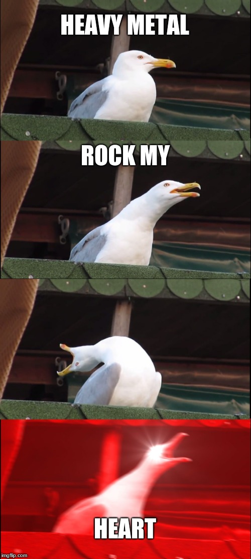 Inhaling Seagull | HEAVY METAL; ROCK MY; HEART | image tagged in memes,inhaling seagull | made w/ Imgflip meme maker