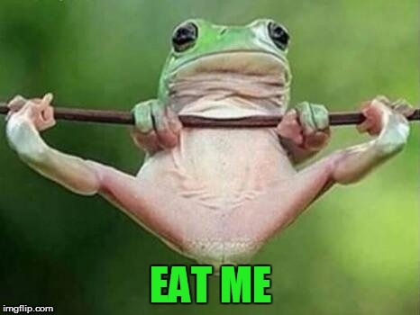 frog legs spread | EAT ME | image tagged in frog legs spread | made w/ Imgflip meme maker