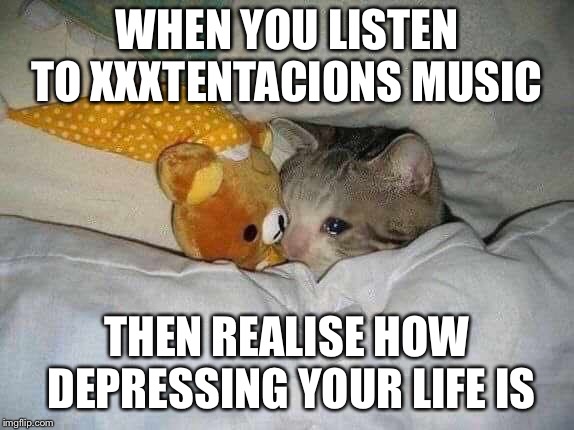 Sad kitten | WHEN YOU LISTEN TO XXXTENTACIONS MUSIC; THEN REALISE HOW DEPRESSING YOUR LIFE IS | image tagged in sad kitten | made w/ Imgflip meme maker