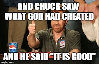 Chuck Norris Approves Meme | AND CHUCK SAW WHAT GOD HAD CREATED AND HE SAID "IT IS GOOD" | image tagged in memes,chuck norris approves,chuck norris | made w/ Imgflip meme maker