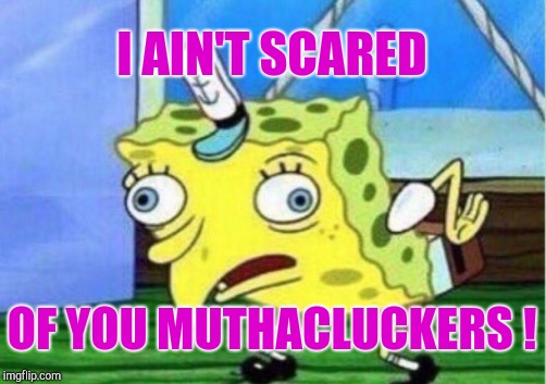 Mocking Spongebob Meme | I AIN'T SCARED OF YOU MUTHACLUCKERS ! | image tagged in memes,mocking spongebob | made w/ Imgflip meme maker