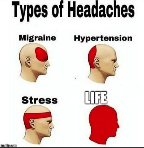 Types of Headaches meme | LIFE | image tagged in types of headaches meme | made w/ Imgflip meme maker