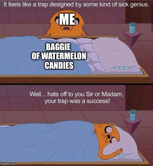 Your trap was a success | ME; BAGGIE OF WATERMELON CANDIES | image tagged in your trap was a success,memes,adventure time,candy | made w/ Imgflip meme maker