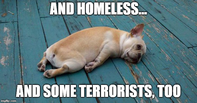 Exhausted  | AND HOMELESS... AND SOME TERRORISTS, TOO | image tagged in exhausted | made w/ Imgflip meme maker