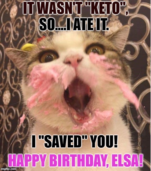 cat frosting birthday cakeday | IT WASN'T "KETO", SO....I ATE IT. I "SAVED" YOU! HAPPY BIRTHDAY, ELSA! | image tagged in cat frosting birthday cakeday | made w/ Imgflip meme maker