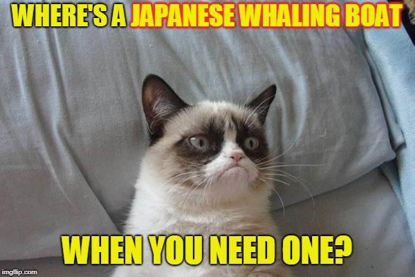 WHERE'S A JAPANESE WHALING BOAT WHEN YOU NEED ONE? JAPANESE WHALING BOAT | made w/ Imgflip meme maker
