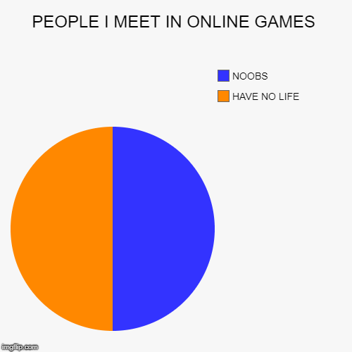 PEOPLE I MEET IN ONLINE GAMES | HAVE NO LIFE, NOOBS | image tagged in funny,pie charts | made w/ Imgflip chart maker