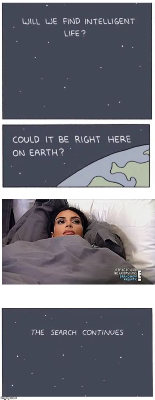 Will we find intelligent life? | image tagged in will we find intelligent life | made w/ Imgflip meme maker