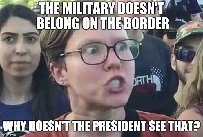 crazy progressive hates the military for being good at what they do.  | THE MILITARY DOESN'T BELONG ON THE BORDER; WHY DOESN'T THE PRESIDENT SEE THAT? | image tagged in triggered liberal,progressive hate,intolerance,illegals must be stopped,military border mission | made w/ Imgflip meme maker