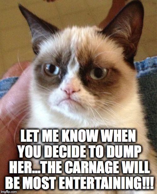 Grumpy Cat Meme | LET ME KNOW WHEN YOU DECIDE TO DUMP HER...THE CARNAGE WILL BE MOST ENTERTAINING!!! | image tagged in memes,grumpy cat | made w/ Imgflip meme maker