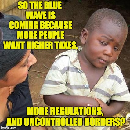 Third World Skeptical Kid Meme | SO THE BLUE WAVE IS COMING BECAUSE MORE PEOPLE WANT HIGHER TAXES, MORE REGULATIONS, AND UNCONTROLLED BORDERS? | image tagged in memes,third world skeptical kid | made w/ Imgflip meme maker