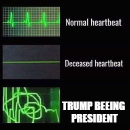 heartbeat rate | TRUMP BEEING PRESIDENT | image tagged in heartbeat rate | made w/ Imgflip meme maker