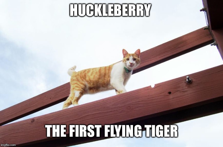 HUCKLEBERRY; THE FIRST FLYING TIGER | made w/ Imgflip meme maker