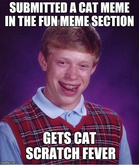 Bad Luck Brian Meme | SUBMITTED A CAT MEME IN THE FUN MEME SECTION; GETS CAT SCRATCH FEVER | image tagged in memes,bad luck brian | made w/ Imgflip meme maker