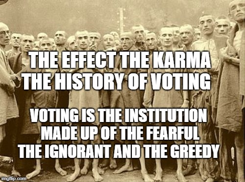 jews | THE EFFECT THE KARMA THE HISTORY OF VOTING; VOTING IS THE INSTITUTION MADE UP OF THE FEARFUL THE IGNORANT AND THE GREEDY | image tagged in jews | made w/ Imgflip meme maker