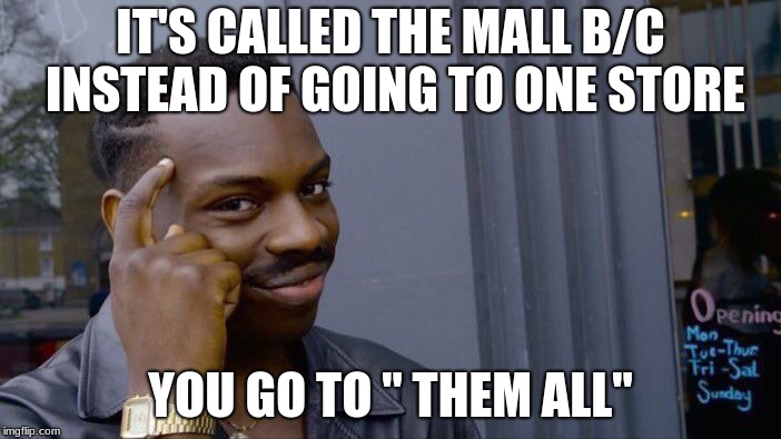 Roll Safe Think About It Meme | IT'S CALLED THE MALL B/C INSTEAD OF GOING TO ONE STORE; YOU GO TO " THEM ALL" | image tagged in memes,roll safe think about it | made w/ Imgflip meme maker