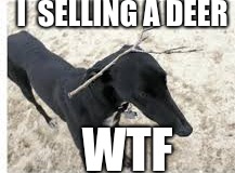 I  SELLING A DEER; WTF | made w/ Imgflip meme maker