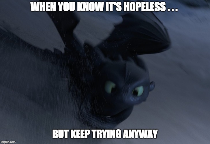 WHEN YOU KNOW IT'S HOPELESS . . . BUT KEEP TRYING ANYWAY | image tagged in how to train your dragon,toothless | made w/ Imgflip meme maker