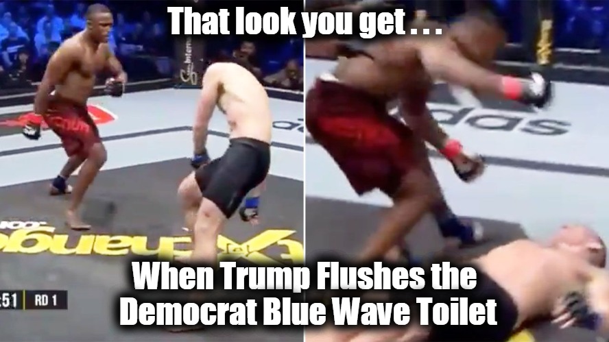 When Trump flushes the Blue Wave Toilet | That look you get . . . When Trump Flushes the Democrat Blue Wave Toilet | image tagged in torbjorn madsen,mzwandile hlongwa,knockout,trump,blue wave,democrat | made w/ Imgflip meme maker