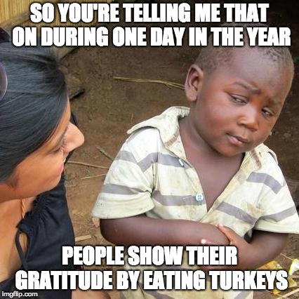 Third World Skeptical Kid | SO YOU'RE TELLING ME THAT ON DURING ONE DAY IN THE YEAR; PEOPLE SHOW THEIR GRATITUDE BY EATING TURKEYS | image tagged in memes,third world skeptical kid | made w/ Imgflip meme maker