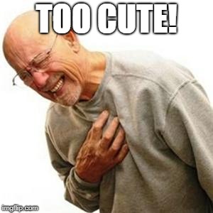 Heart Attack Man | TOO CUTE! | image tagged in heart attack man | made w/ Imgflip meme maker