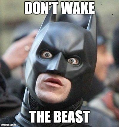 Shocked Batman | DON'T WAKE THE BEAST | image tagged in shocked batman | made w/ Imgflip meme maker