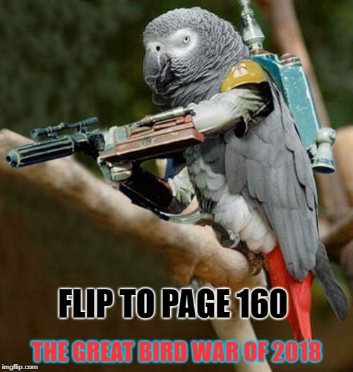 FLIP TO PAGE 160; THE GREAT BIRD WAR OF 2018 | image tagged in angry birds,war | made w/ Imgflip meme maker