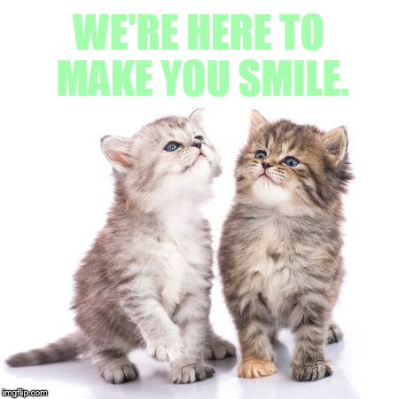 WE'RE HERE TO MAKE YOU SMILE. | made w/ Imgflip meme maker