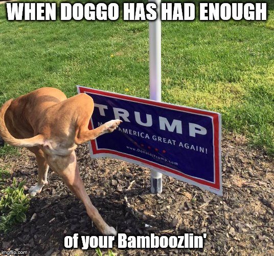 WHEN DOGGO HAS HAD ENOUGH; of your Bamboozlin' | image tagged in good puppy | made w/ Imgflip meme maker