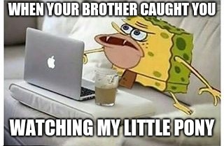 SpongeGar Computer |  WHEN YOUR BROTHER CAUGHT YOU; WATCHING MY LITTLE PONY | image tagged in spongegar computer | made w/ Imgflip meme maker