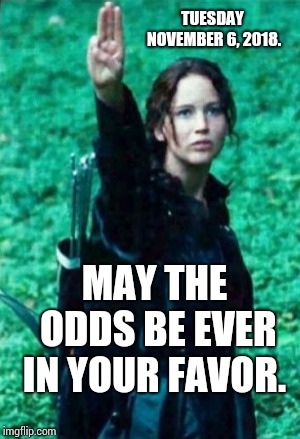 Just Vote! | TUESDAY NOVEMBER 6, 2018. MAY THE ODDS BE EVER IN YOUR FAVOR. | image tagged in hunger games,vote,memes,meme,election 2018,election day | made w/ Imgflip meme maker