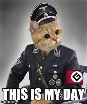 Grammar Nazi Cat | THIS IS MY DAY | image tagged in grammar nazi cat | made w/ Imgflip meme maker