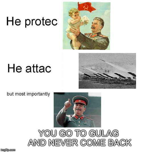 he protec | YOU GO TO GULAG AND NEVER COME BACK | image tagged in he protec | made w/ Imgflip meme maker