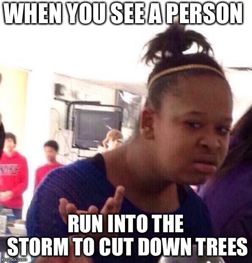 Black Girl Wat Meme | WHEN YOU SEE A PERSON; RUN INTO THE STORM TO CUT DOWN TREES | image tagged in memes,black girl wat | made w/ Imgflip meme maker