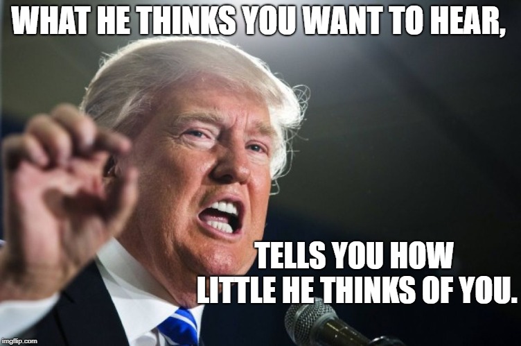 donald trump | WHAT HE THINKS YOU WANT TO HEAR, TELLS YOU HOW LITTLE HE THINKS OF YOU. | image tagged in donald trump | made w/ Imgflip meme maker