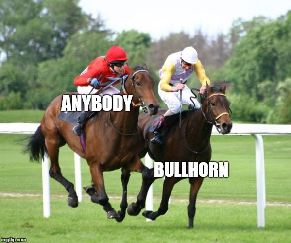 two horses racing | ANYBODY BULLHORN | image tagged in two horses racing | made w/ Imgflip meme maker