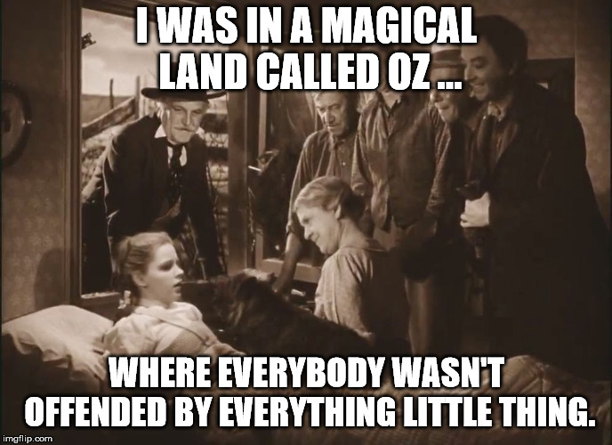 It used to be called America | I WAS IN A MAGICAL LAND CALLED OZ ... WHERE EVERYBODY WASN'T OFFENDED BY EVERYTHING LITTLE THING. | image tagged in dorothy waking up | made w/ Imgflip meme maker