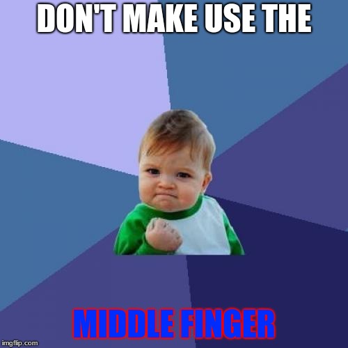 Success Kid | DON'T MAKE USE THE; MIDDLE FINGER | image tagged in memes,success kid | made w/ Imgflip meme maker
