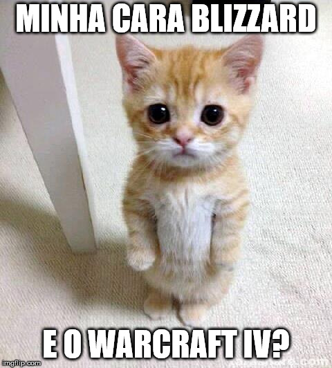 Cute Cat Meme | MINHA CARA BLIZZARD; E O WARCRAFT IV? | image tagged in memes,cute cat | made w/ Imgflip meme maker