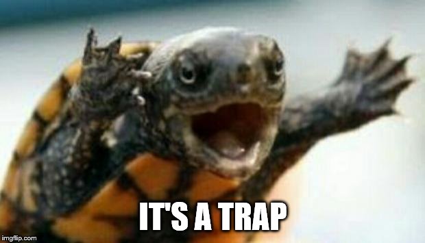 New Star was character Admiral Ackturtle. | IT'S A TRAP | image tagged in turtle say what,it's a trap,star wars,funny | made w/ Imgflip meme maker