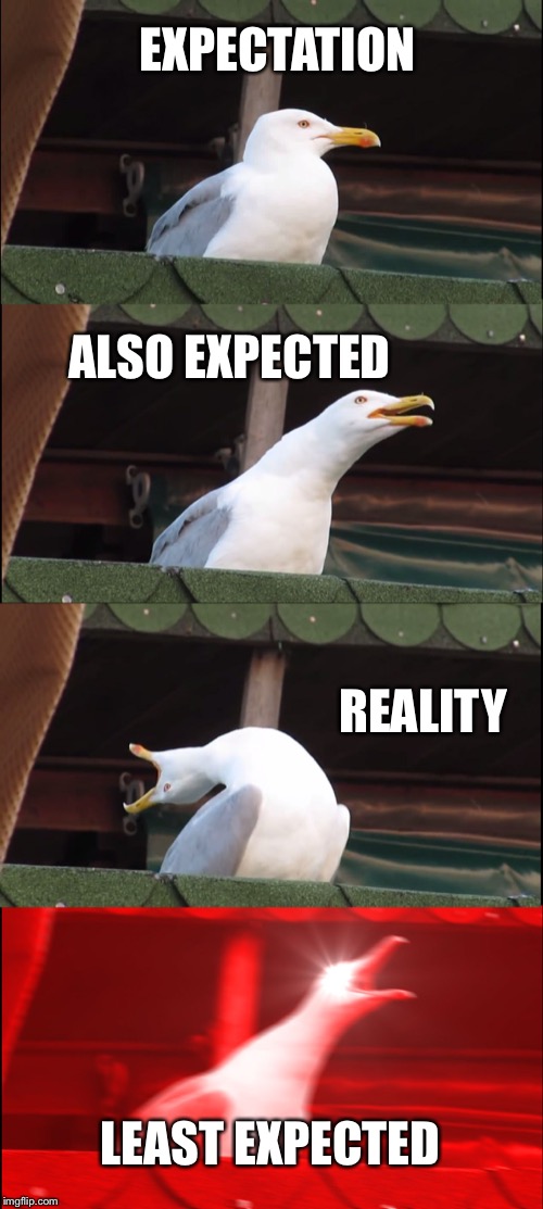 Inhaling Seagull Meme |  EXPECTATION; ALSO EXPECTED; REALITY; LEAST EXPECTED | image tagged in memes,inhaling seagull | made w/ Imgflip meme maker